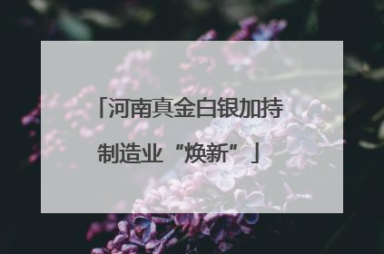河南真金白银加持制造业“焕新”