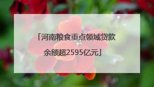 河南粮食重点领域贷款余额超2595亿元