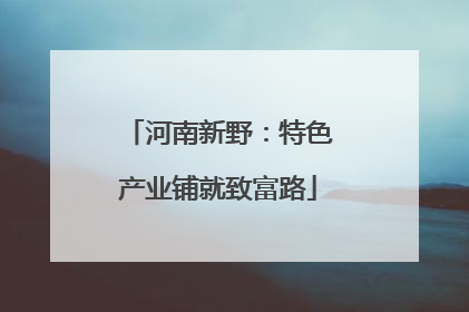 河南新野：特色产业铺就致富路
