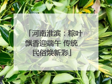 河南淮滨：粽叶飘香迎端午 传统民俗焕新彩
