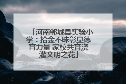 河南郸城县实验小学：拾金不昧彰显德育力量 家校共育浇灌文明之花
