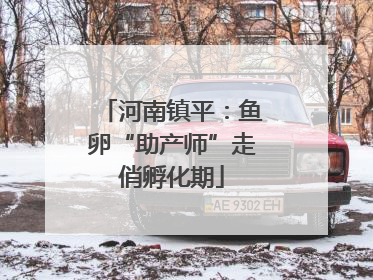 河南镇平：鱼卵“助产师”走俏孵化期