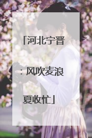 河北宁晋：风吹麦浪夏收忙