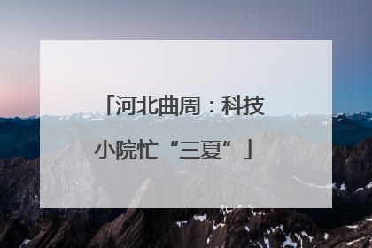 河北曲周：科技小院忙“三夏”