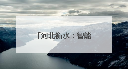 河北衡水：智能收储 颗粒归仓