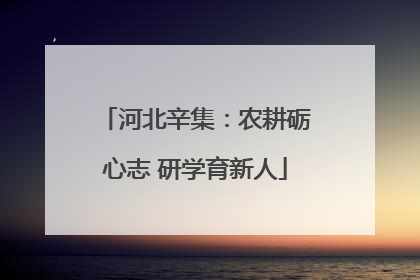 河北辛集：农耕砺心志 研学育新人