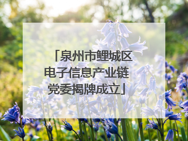 泉州市鲤城区电子信息产业链党委揭牌成立