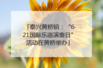 泰兴黄桥镇：“6·21国际乐器演奏日”活动在黄桥举办