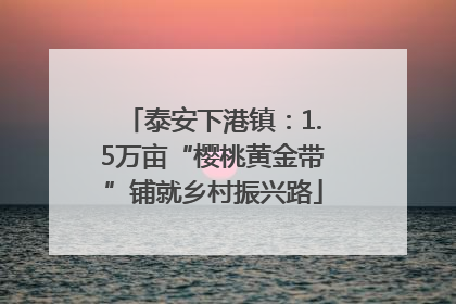 泰安下港镇：1.5万亩“樱桃黄金带”铺就乡村振兴路