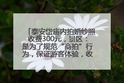 泰安岱庙内拍婚纱照收费300元，景区：是为了规范“商拍”行为，保证游客体验，收取费用全部上交国库