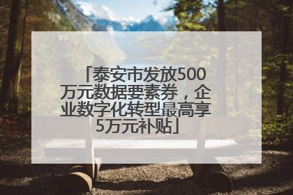 泰安市发放500万元数据要素券，企业数字化转型最高享5万元补贴