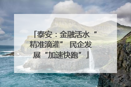 泰安：金融活水“精准滴灌” 民企发展“加速快跑”