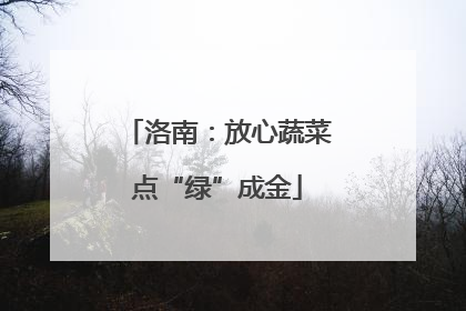 洛南：放心蔬菜点“绿”成金