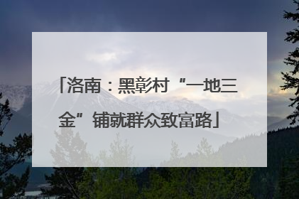 洛南：黑彰村“一地三金”铺就群众致富路