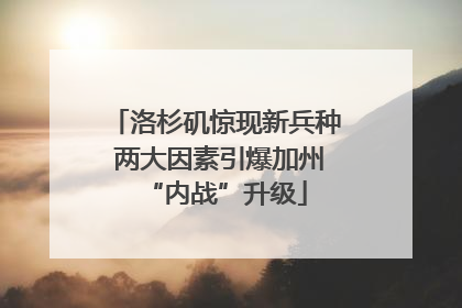 洛杉矶惊现新兵种 两大因素引爆加州“内战”升级