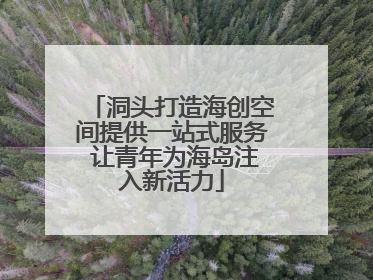 洞头打造海创空间提供一站式服务 让青年为海岛注入新活力