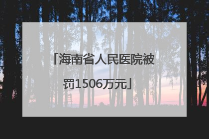 海南省人民医院被罚1506万元