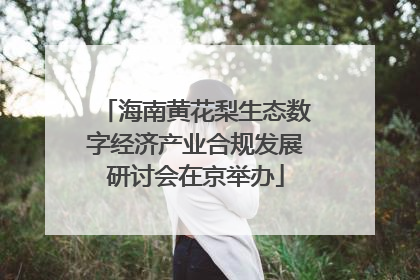 海南黄花梨生态数字经济产业合规发展研讨会在京举办