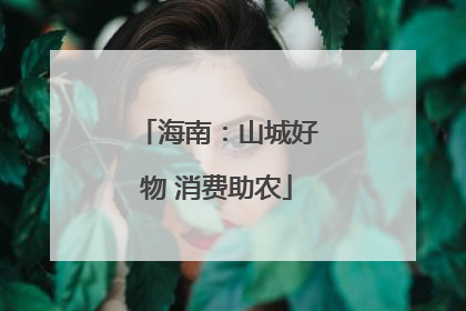 海南：山城好物 消费助农