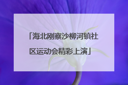 海北刚察沙柳河镇社区运动会精彩上演