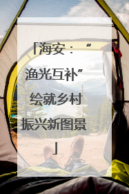 海安：“渔光互补” 绘就乡村振兴新图景