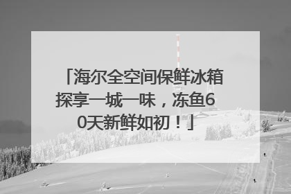 海尔全空间保鲜冰箱探享一城一味，冻鱼60天新鲜如初！