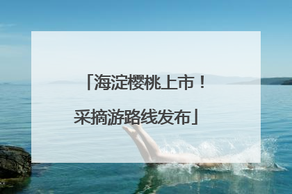 海淀樱桃上市！采摘游路线发布