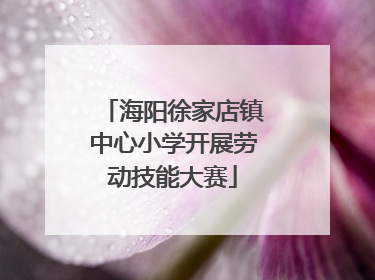 海阳徐家店镇中心小学开展劳动技能大赛