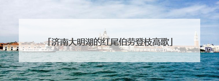 济南大明湖的红尾伯劳登枝高歌