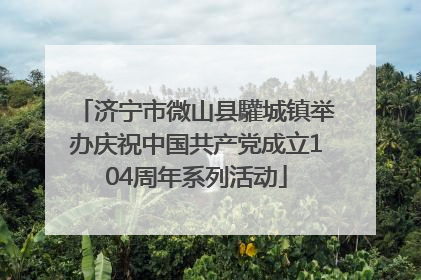 济宁市微山县驩城镇举办庆祝中国共产党成立104周年系列活动