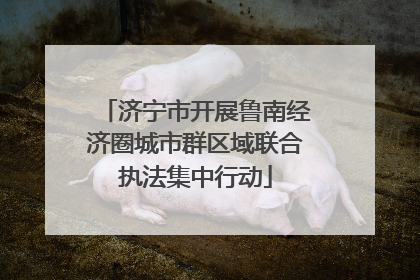 济宁市开展鲁南经济圈城市群区域联合执法集中行动