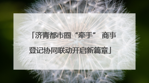 济青都市圈“牵手” 商事登记协同联动开启新篇章