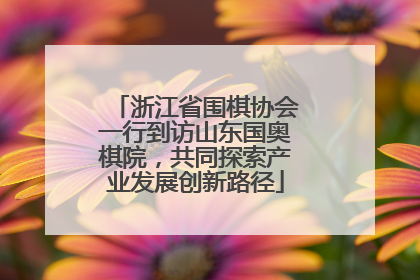 浙江省围棋协会一行到访山东国奥棋院，共同探索产业发展创新路径