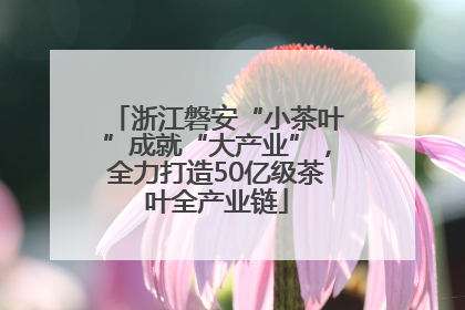 浙江磐安“小茶叶”成就“大产业”，全力打造50亿级茶叶全产业链