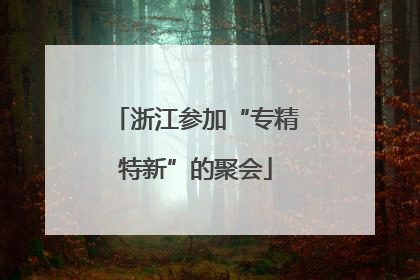 浙江参加“专精特新”的聚会