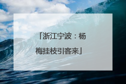 浙江宁波：杨梅挂枝引客来