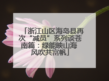 浙江山区海岛县再次“减员”系列谈苍南篇：绿能映山海 风吹共富帆