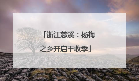浙江慈溪：杨梅之乡开启丰收季