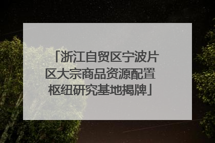 浙江自贸区宁波片区大宗商品资源配置枢纽研究基地揭牌