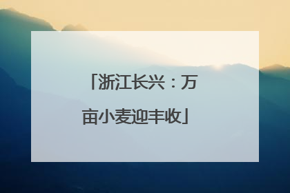 浙江长兴：万亩小麦迎丰收