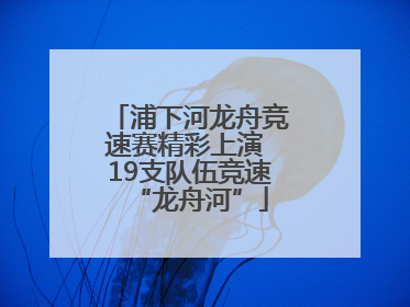 浦下河龙舟竞速赛精彩上演 19支队伍竞速“龙舟河”