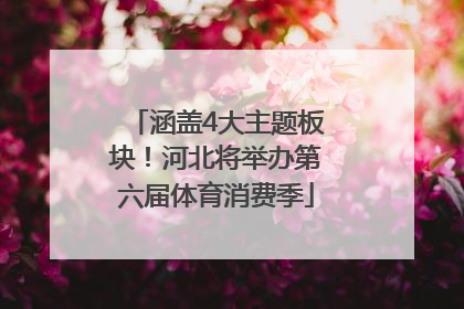涵盖4大主题板块！河北将举办第六届体育消费季