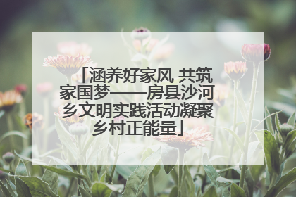 涵养好家风 共筑家国梦——房县沙河乡文明实践活动凝聚乡村正能量