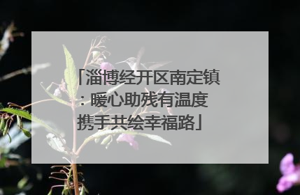 淄博经开区南定镇：暖心助残有温度 携手共绘幸福路