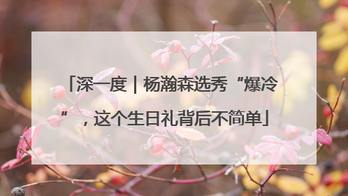 深一度｜杨瀚森选秀“爆冷”，这个生日礼背后不简单