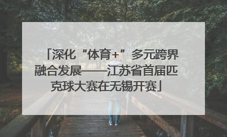 深化“体育+”多元跨界融合发展——江苏省首届匹克球大赛在无锡开赛