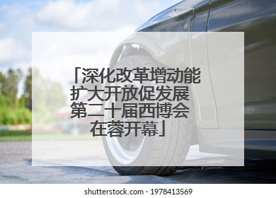 深化改革增动能 扩大开放促发展 第二十届西博会在蓉开幕