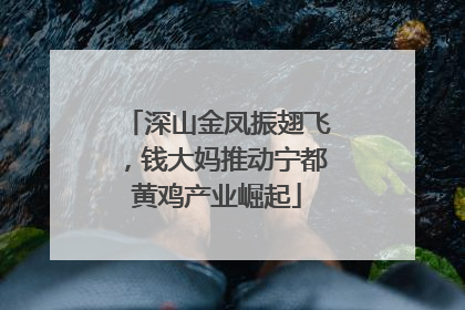 深山金凤振翅飞，钱大妈推动宁都黄鸡产业崛起