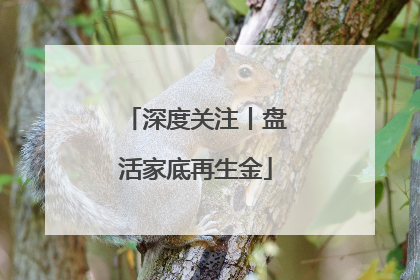 深度关注丨盘活家底再生金
