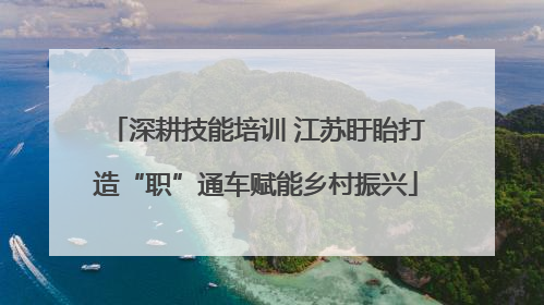 深耕技能培训 江苏盱眙打造“职”通车赋能乡村振兴